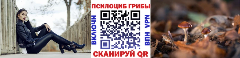 Галлюциногенные грибы мухоморы  Купить закладки  Котельники 